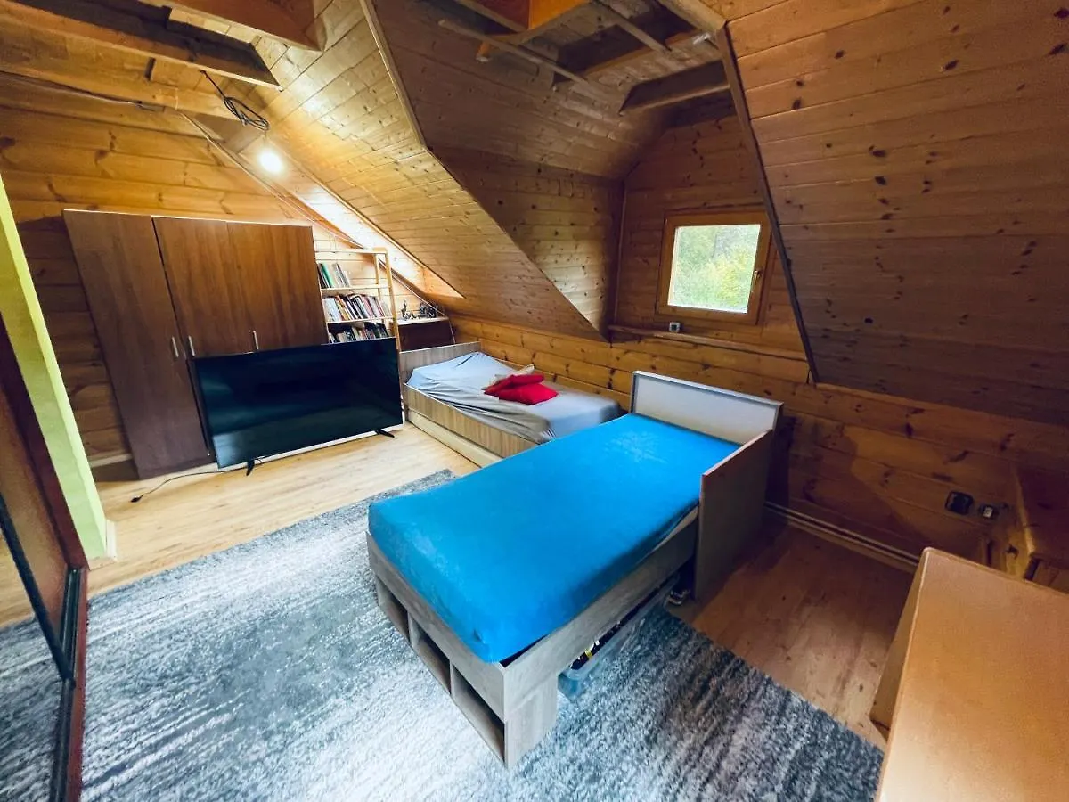 Homestay Your Room In A Shared House Prague